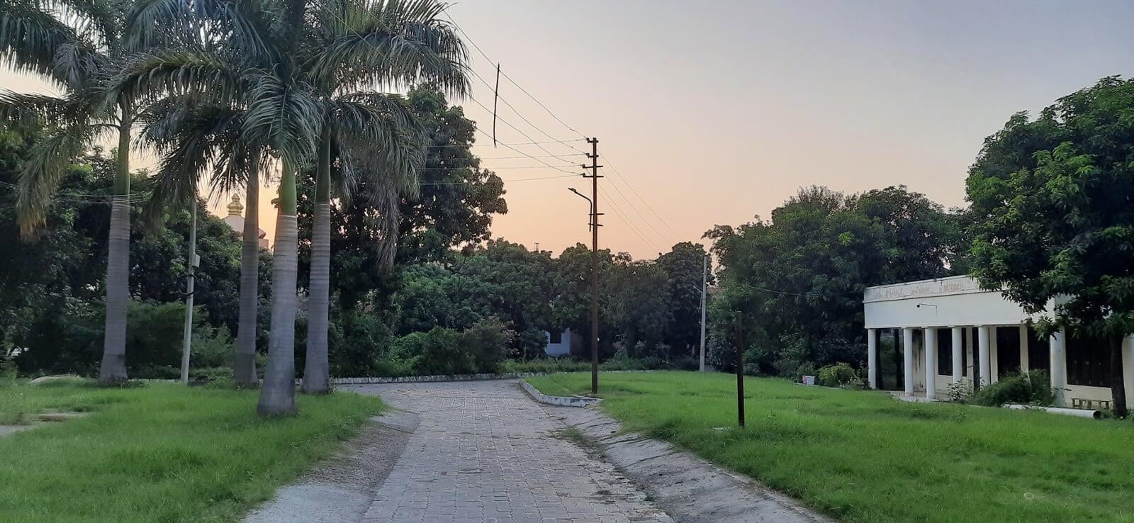 Campus View